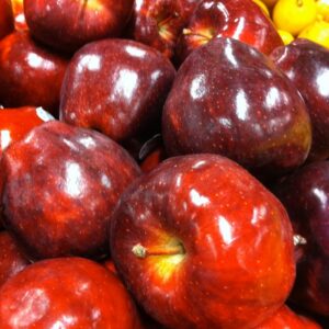 Malus Domestica 'Red Delicious' Apple
