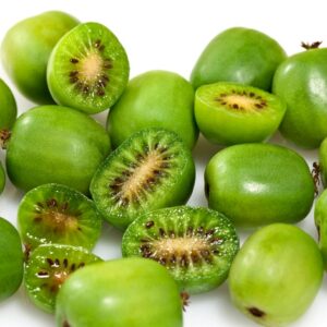 Actinidia Arguta 'Issai' Hardy Kiwi