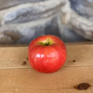 Malus Domestica 'Honeycrisp' Apple