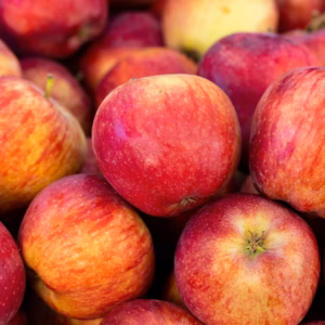 Malus Domestica 'Red Delicious' Apple